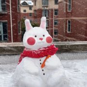 可爱兔子雪人情侣头像图片