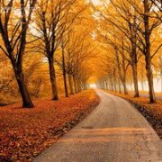 美丽秋天风景微信头像,绝美秋天唯美的风景头像图片
