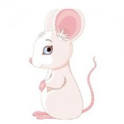 动漫老鼠头像,高清可爱的卡通老鼠头像图片