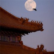 北京故宫唯美意境风景头像图片 爱上紫荆城 最美中国红