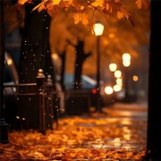 满地落叶的秋天夜晚风景头像图片