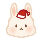 可爱卡通小动物戴圣诞帽子头像图片